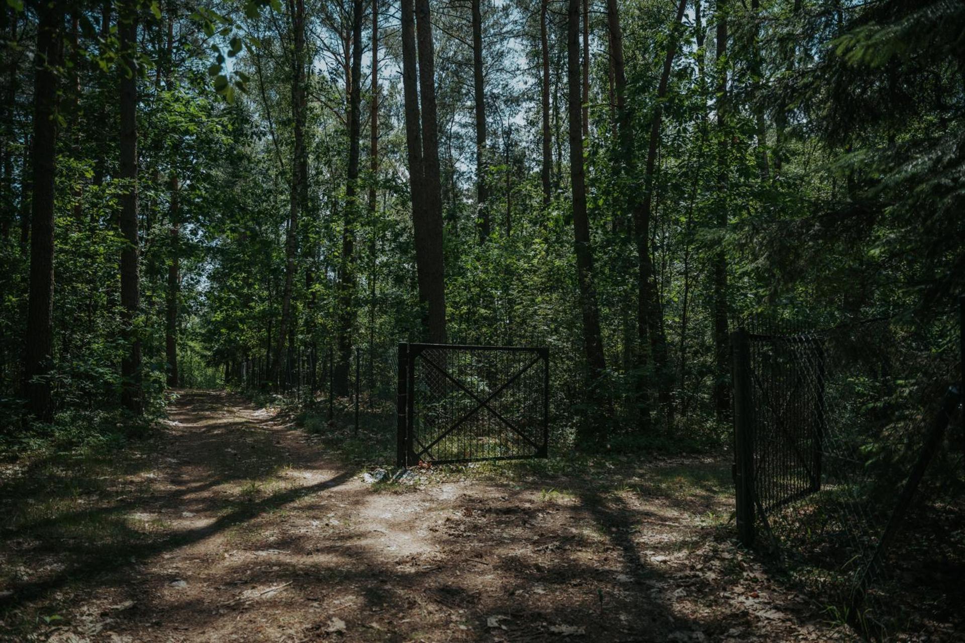 Forest Cabin - 50Min Od Warszawy Wola Polska Экстерьер фото
